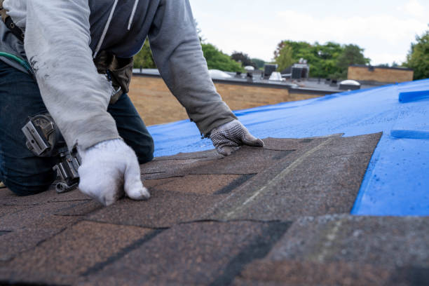 Quick and Trustworthy Emergency Roof Repair Services in Norman Park, GA